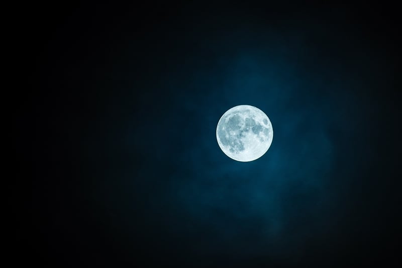 Moonlit Night